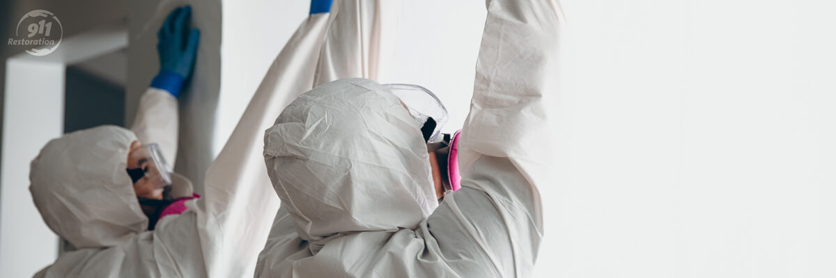 Mold Removal Brooklyn